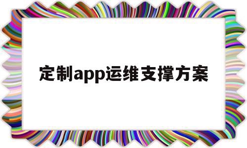 定制app运维支撑方案(app运维成本)