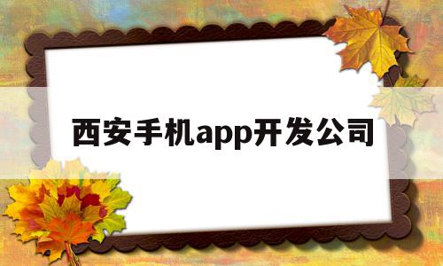 西安手机app开发公司(西安手机app开发公司招聘)