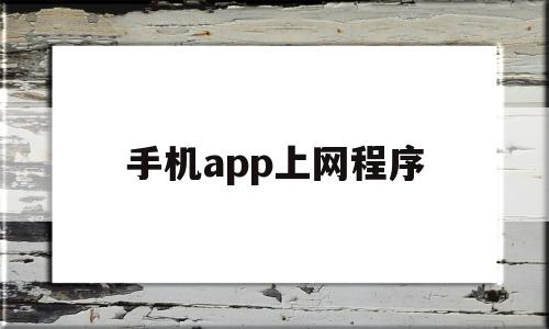 手机app上网程序(手机app网络设置在哪里)