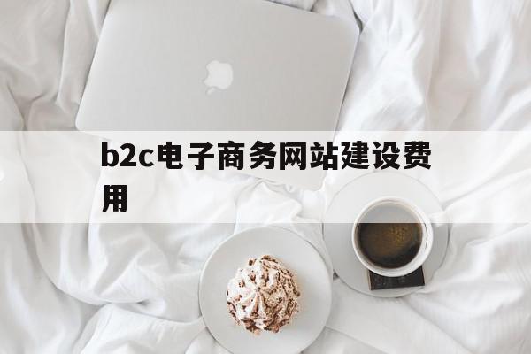 b2c电子商务网站建设费用(b2c电子商务网站建设费用高吗)