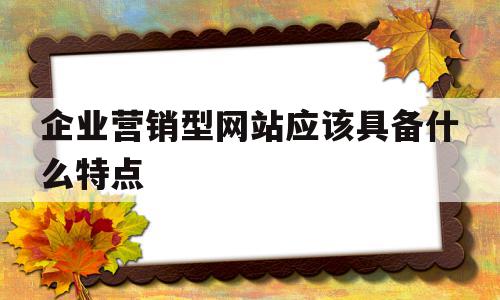 企业营销型网站应该具备什么特点的简单介绍