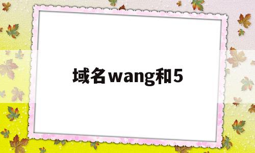 域名wang和5(wang域名有没有价值)