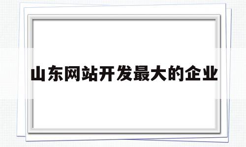 山东网站开发最大的企业(山东网站开发最大的企业排名)