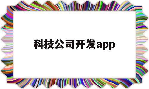 科技公司开发app(科技公司开发票税率多少)