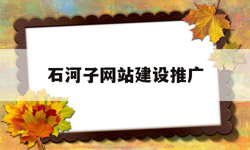 石河子网站建设推广(宁波网站建设推广定制)