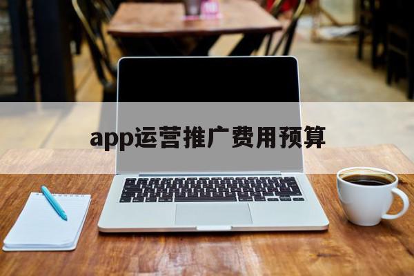 app运营推广费用预算(app运营推广费用预算表)