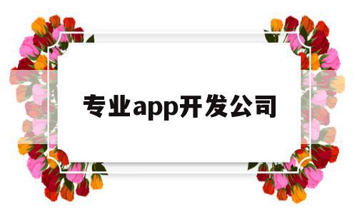 专业app开发公司(专业app开发公司有哪些)