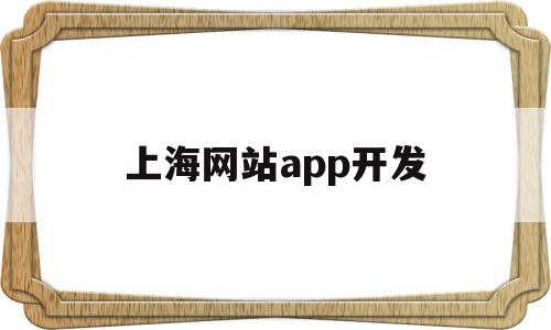 上海网站app开发(上海app开发和制作公司)