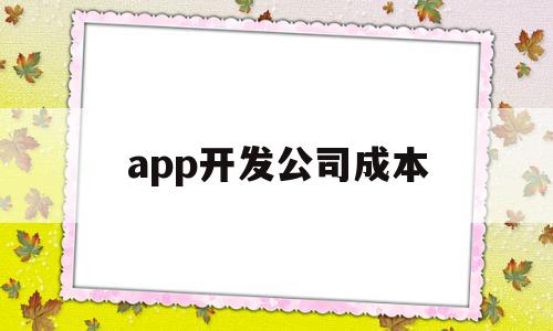 app开发公司成本(app开发公司成本分析)