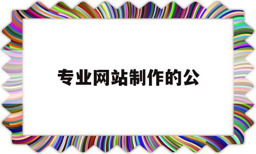 专业网站制作的公(专业网站设计制作公司)