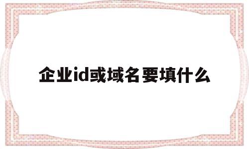 企业id或域名要填什么(企业的id是什么样子填写)