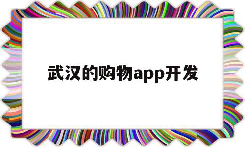 武汉的购物app开发(武汉手机app软件开发)