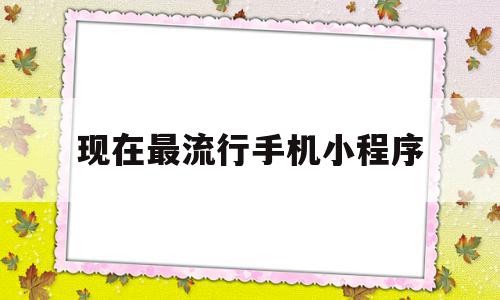 现在最流行手机小程序(现在最流行手机小程序叫什么)