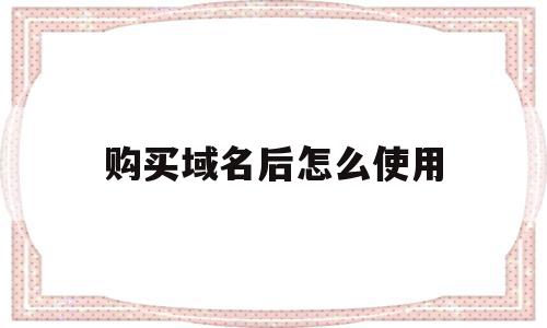 购买域名后怎么使用(购买域名后怎么使用手机),购买域名后怎么使用(购买域名后怎么使用手机),购买域名后怎么使用,信息,百度,模板,第1张