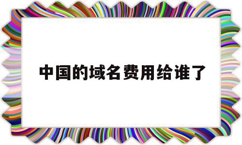 中国的域名费用给谁了(域名中国有投资价值吗)