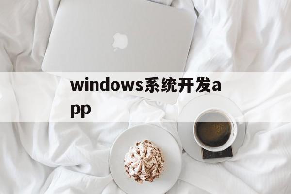 windows系统开发app(windows软件开发入门教程)