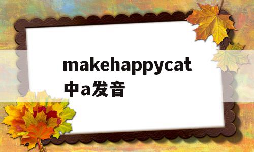 makehappycat中a发音(name make cat中a的发音)