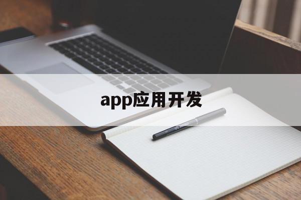 app应用开发(app应用开发费用)