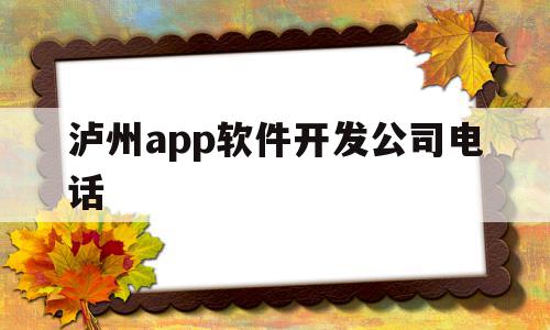 泸州app软件开发公司电话的简单介绍