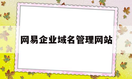 网易企业域名管理网站(网易企业域名管理网站是什么)