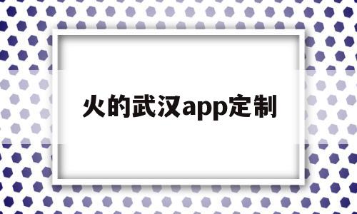 火的武汉app定制(武汉制作app的公司)