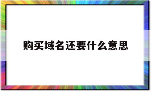 购买域名还要什么意思(购买了域名之后要做什么)