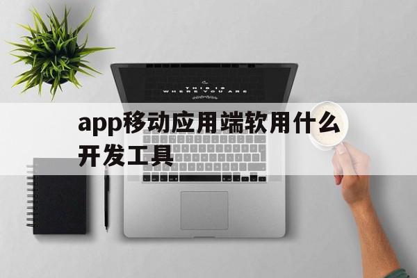 包含app移动应用端软用什么开发工具的词条