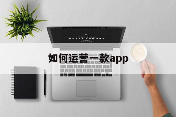 如何运营一款app(如何运营一款玩具品牌)