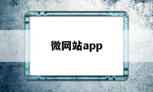 微网站app(微网站设计与开发教程)