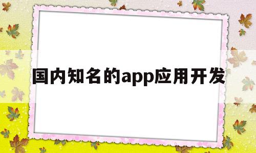 国内知名的app应用开发(app开发的知名公司有哪些)