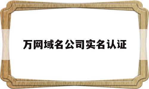 万网域名公司实名认证(企业域名实名认证证件类型怎么填写)