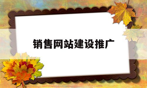 销售网站建设推广(销售网站建设推广方案)