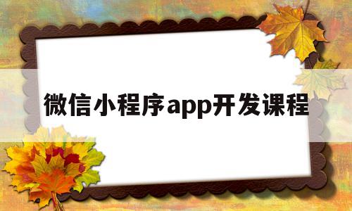 微信小程序app开发课程(微信小程序开发从入门到实战微课视频版pdf)