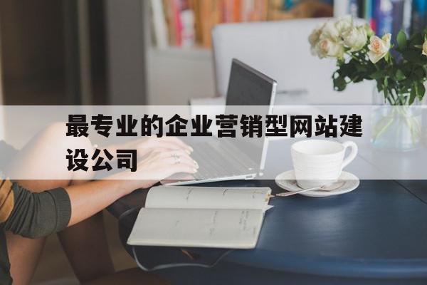 包含最专业的企业营销型网站建设公司的词条