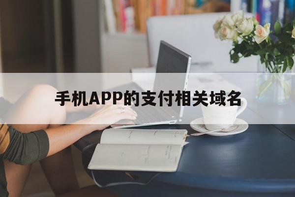 手机APP的支付相关域名(手机app的支付相关域名是什么)