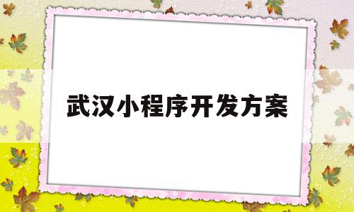 武汉小程序开发方案(武汉小程序开发公司怎么样)