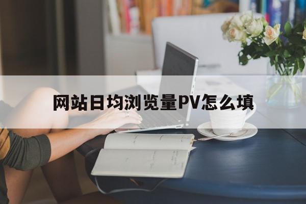 网站日均浏览量PV怎么填的简单介绍