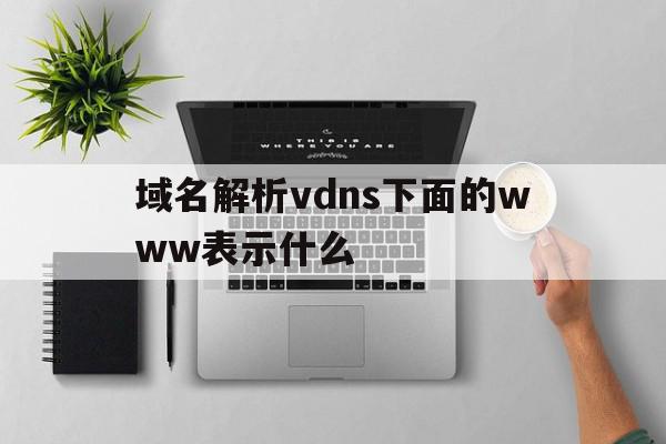 关于域名解析vdns下面的www表示什么的信息