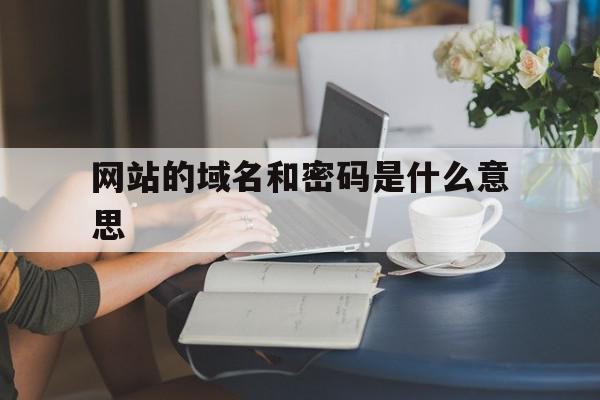 网站的域名和密码是什么意思(网站的域名和密码是什么意思啊)