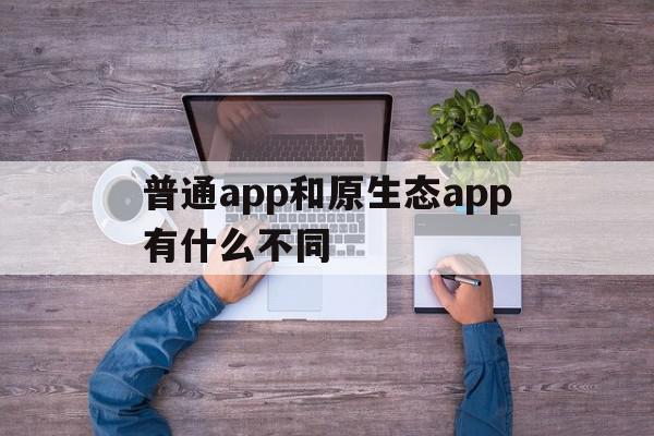 普通app和原生态app有什么不同(普通app和原生态app有什么不同吗)