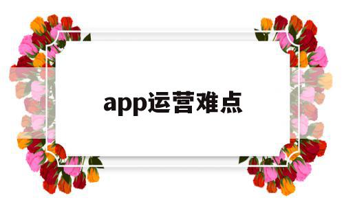 app运营难点(app运营费用预算)