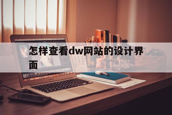 包含怎样查看dw网站的设计界面的词条