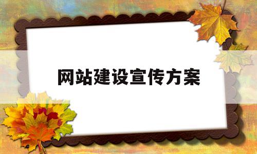 网站建设宣传方案(电子商务网站建设方案)