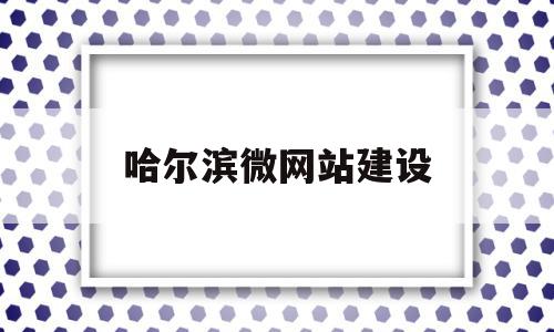 哈尔滨微网站建设(哈尔滨网站建设过程)