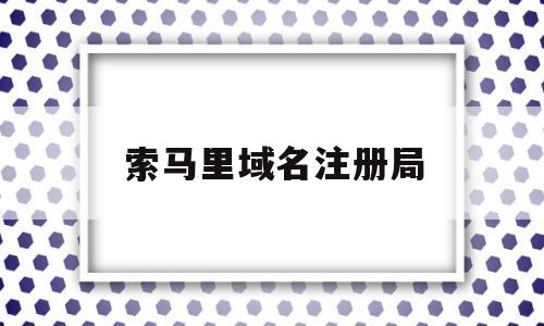 索马里域名注册局的简单介绍