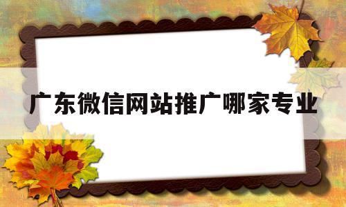 广东微信网站推广哪家专业(广东微信网站推广哪家专业做的好)