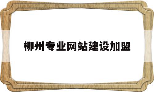 柳州专业网站建设加盟(柳州网络科技有限公司有哪些)