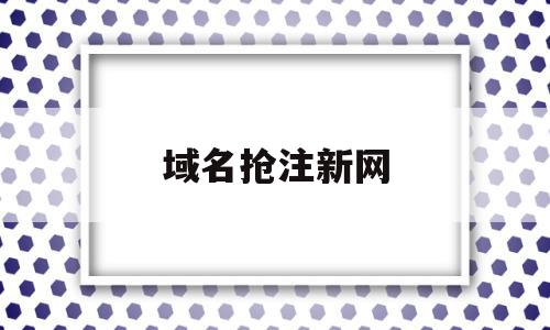 域名抢注新网(域名抢注案例视频)