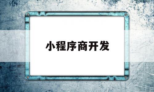 小程序商开发(小程序商店开发)