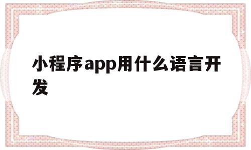 小程序app用什么语言开发(小程序app用什么语言开发好)